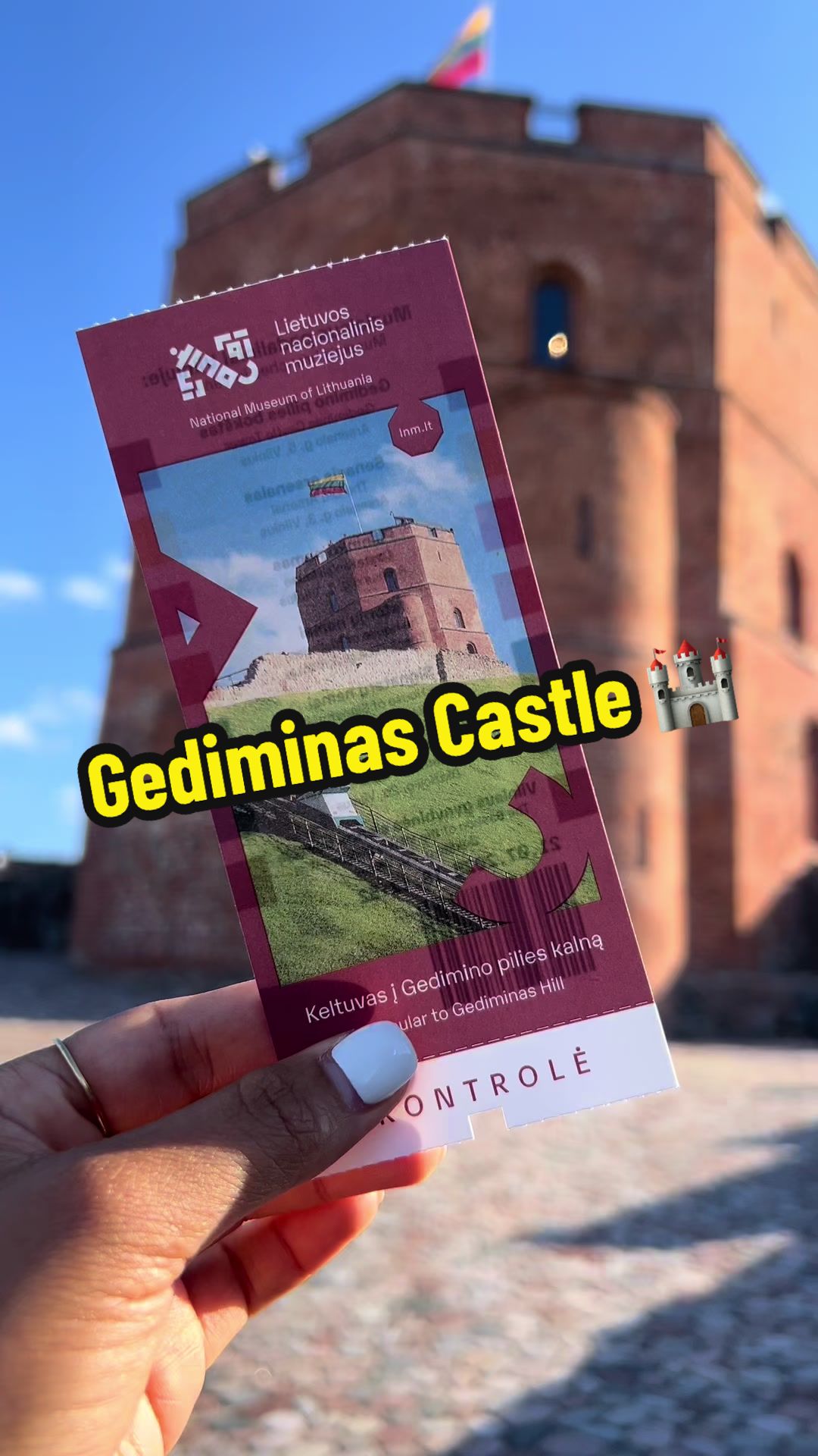 Башня Гедиминаса (Gediminas Castle Tower)