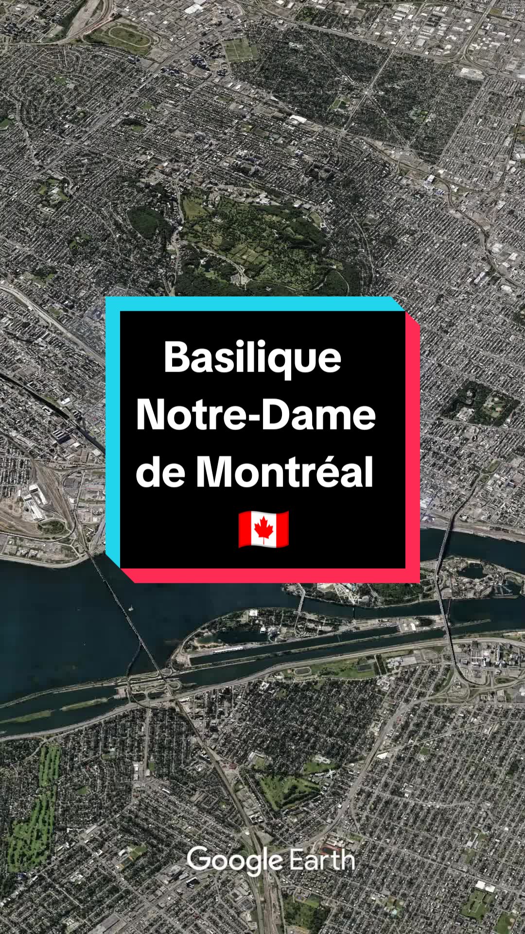 Basilique Notre-Dame de Montréal