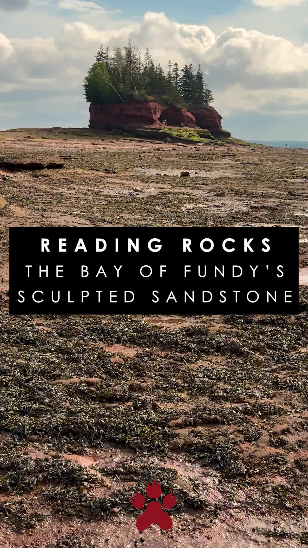 Bay of Fundy