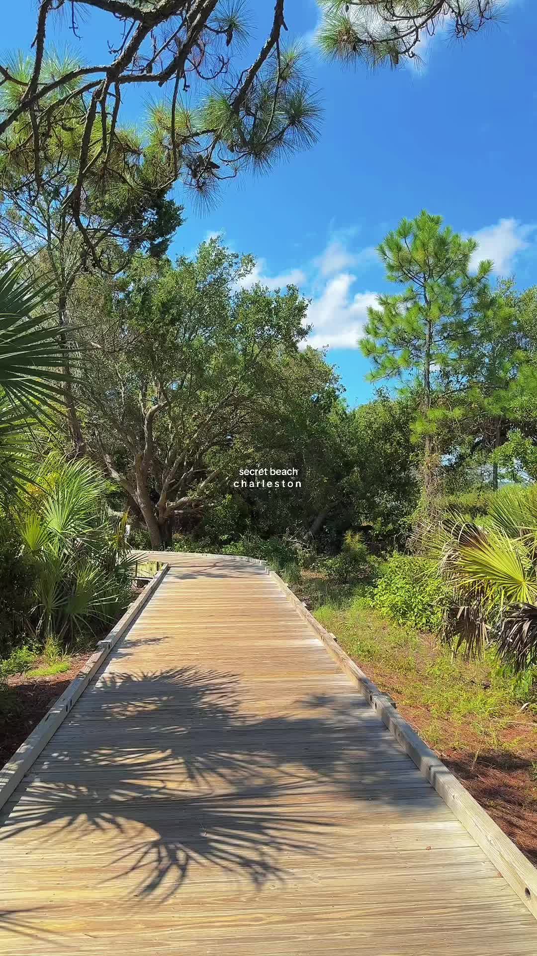 Beachwalker Park