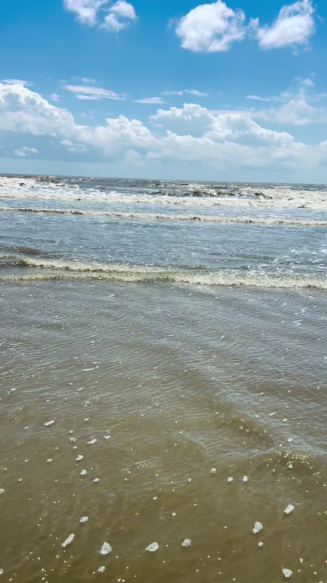 Beachwalker Park