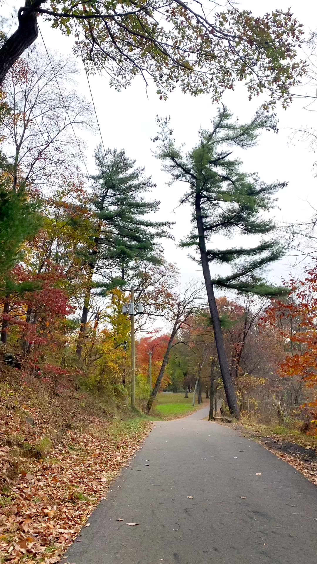 Bear Mountain, NY