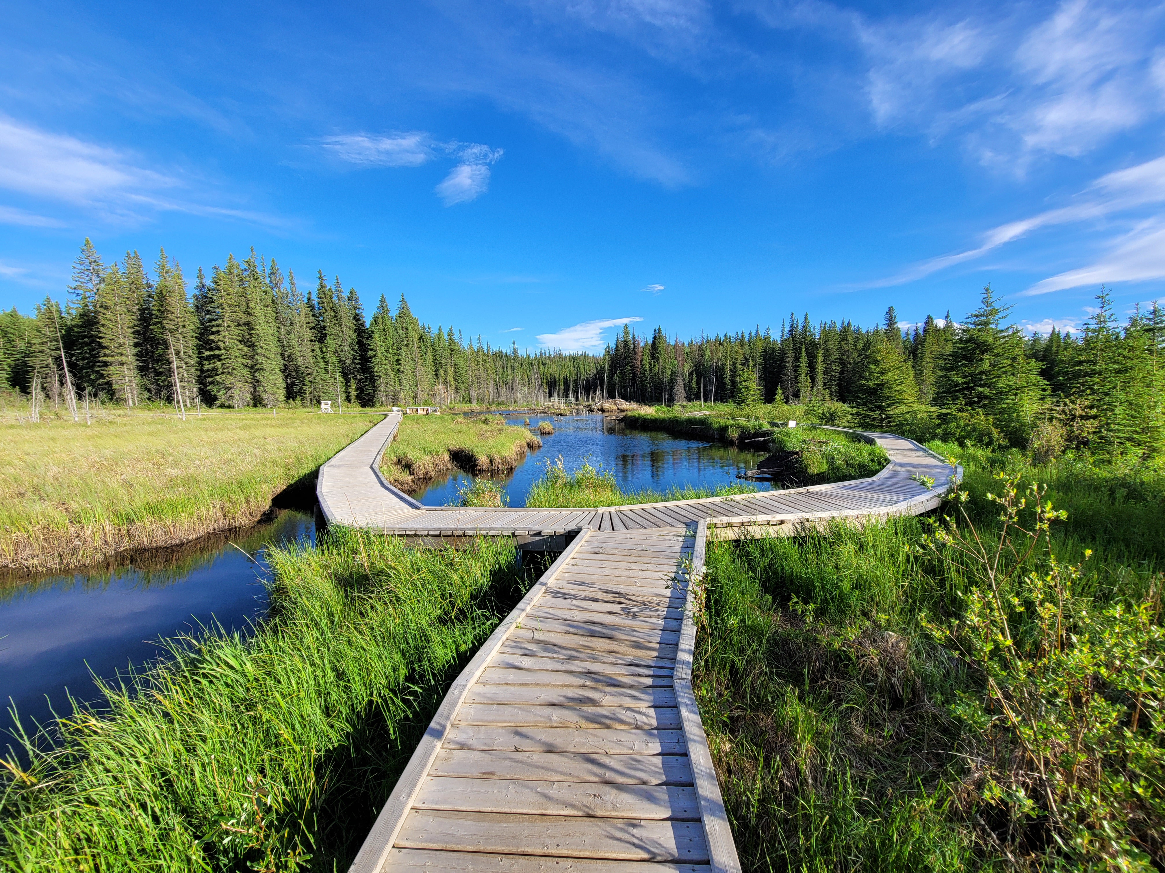 Little Red River (Hinton / Edson area access to mountains and trails)