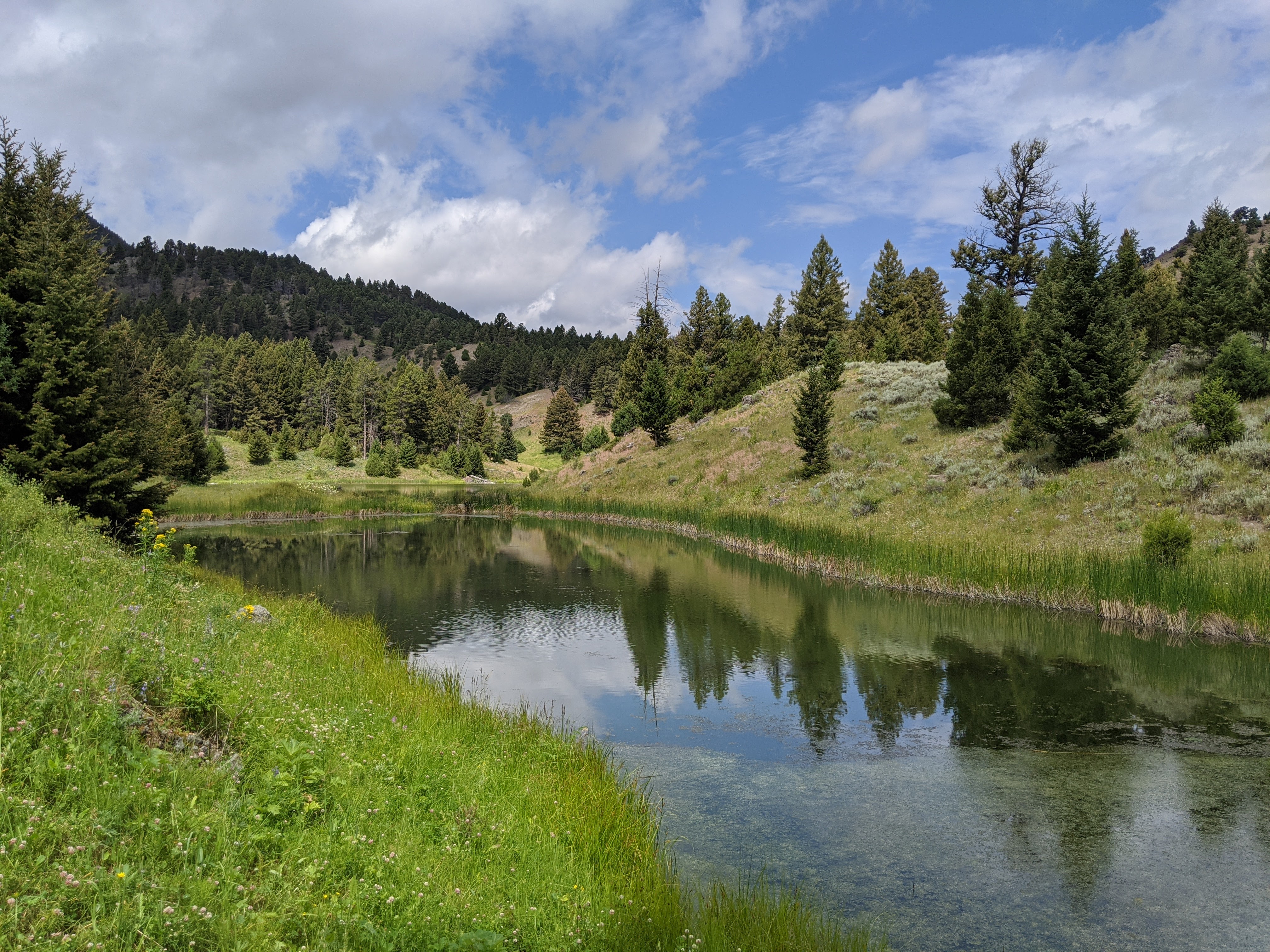Beaver Pond Trail