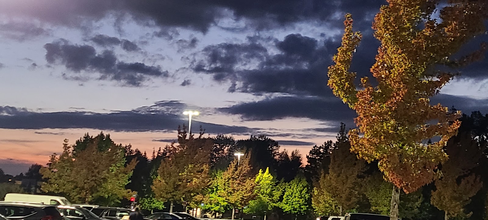 Bellingham, WA