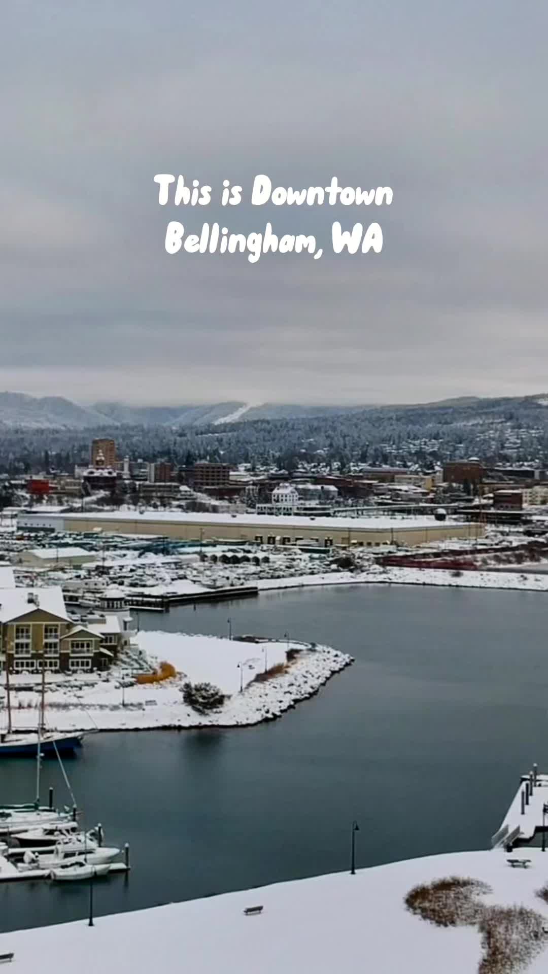 Bellingham