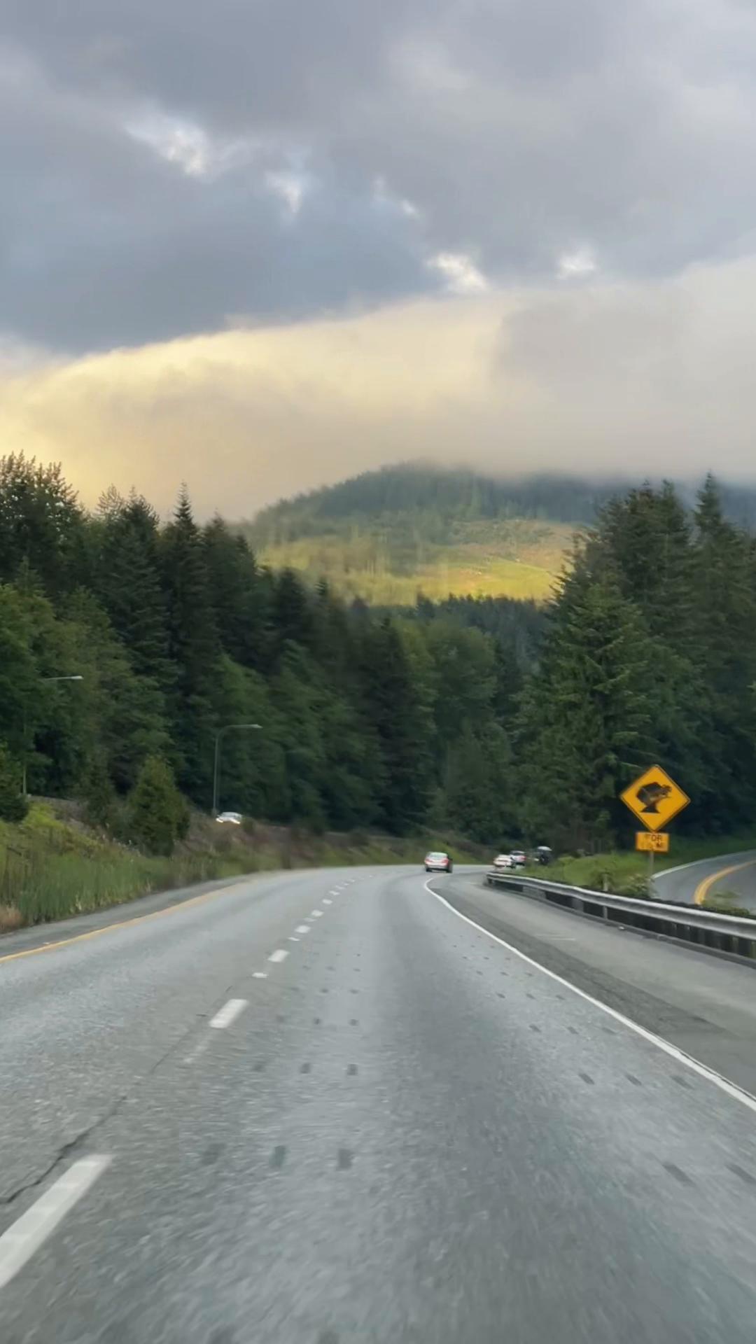 Bellingham
