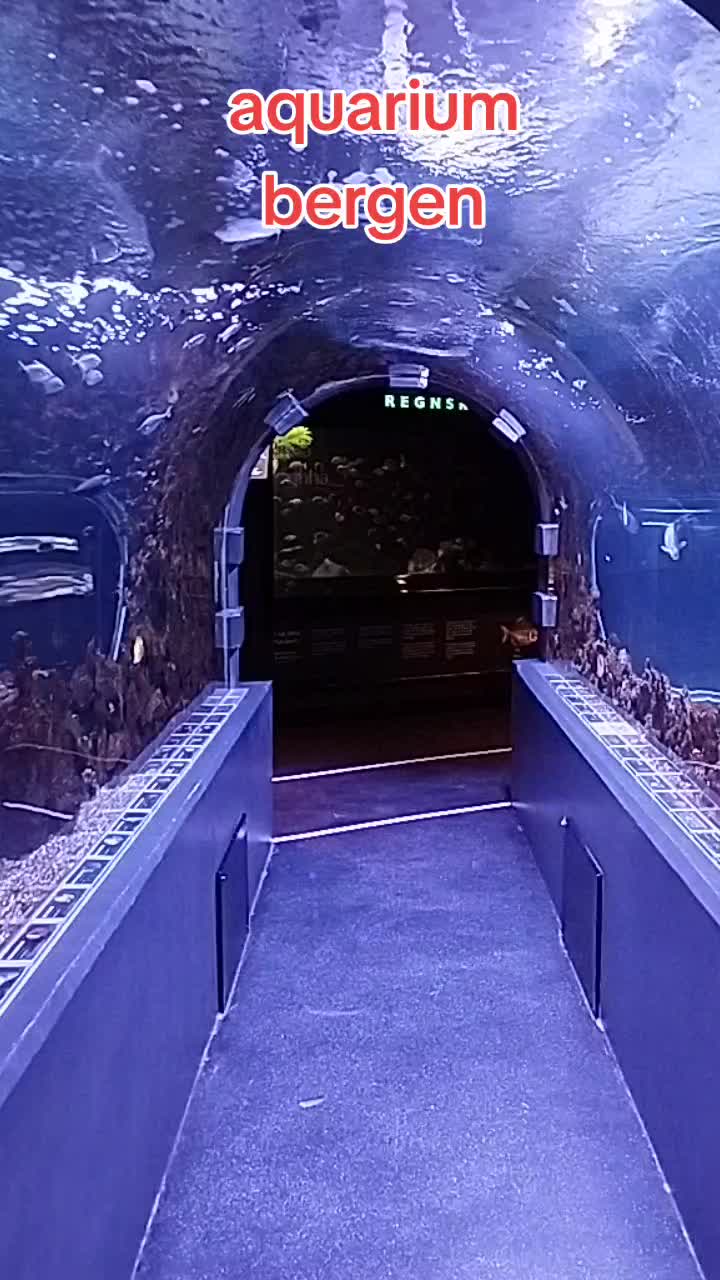 Бергенаcкий аквариум (Bergen Aquarium)
