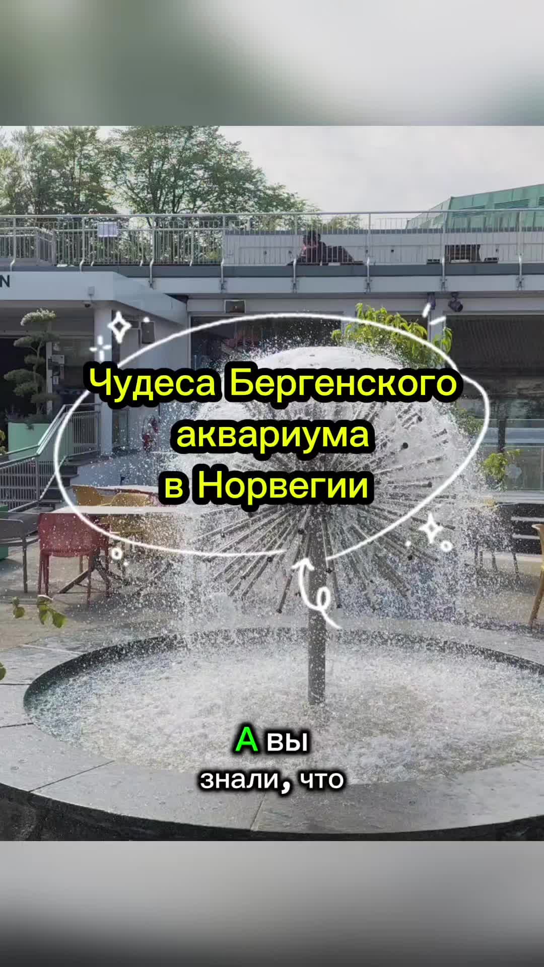 Бергенаcкий аквариум (Bergen Aquarium)