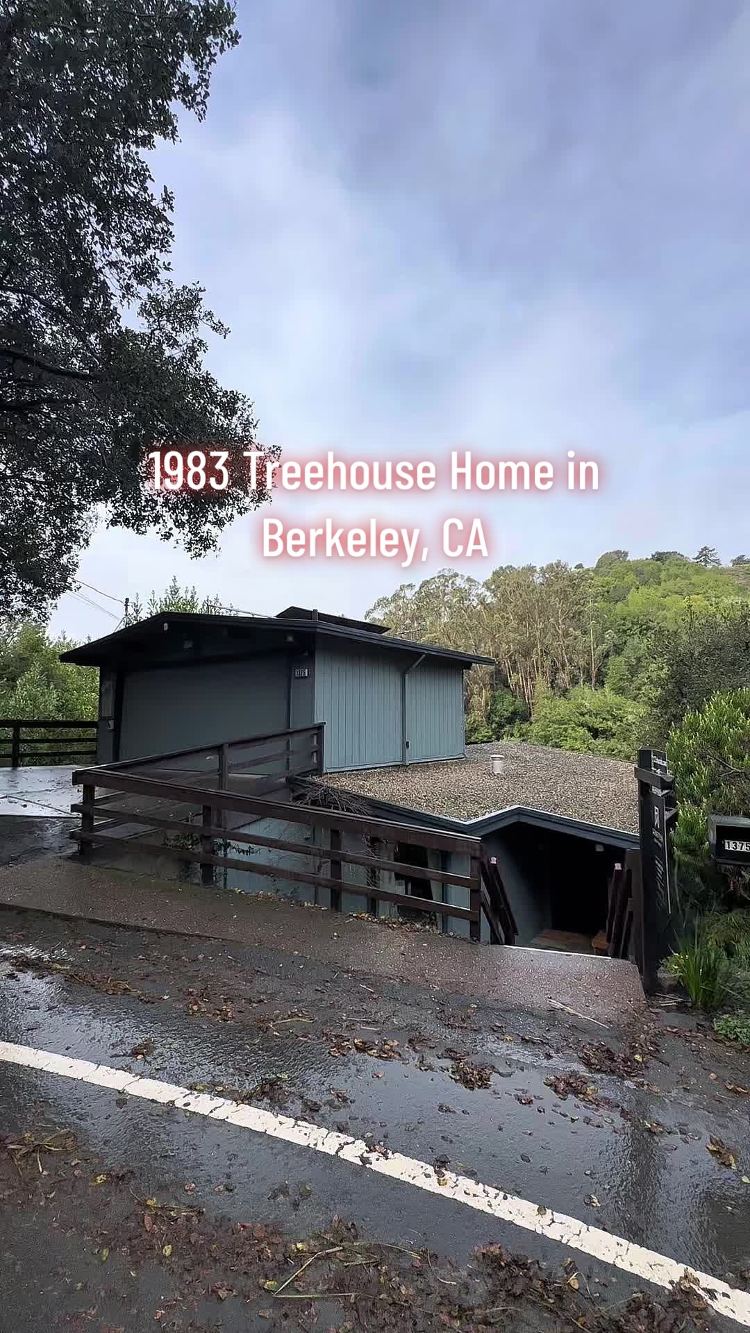 Berkeley Hills