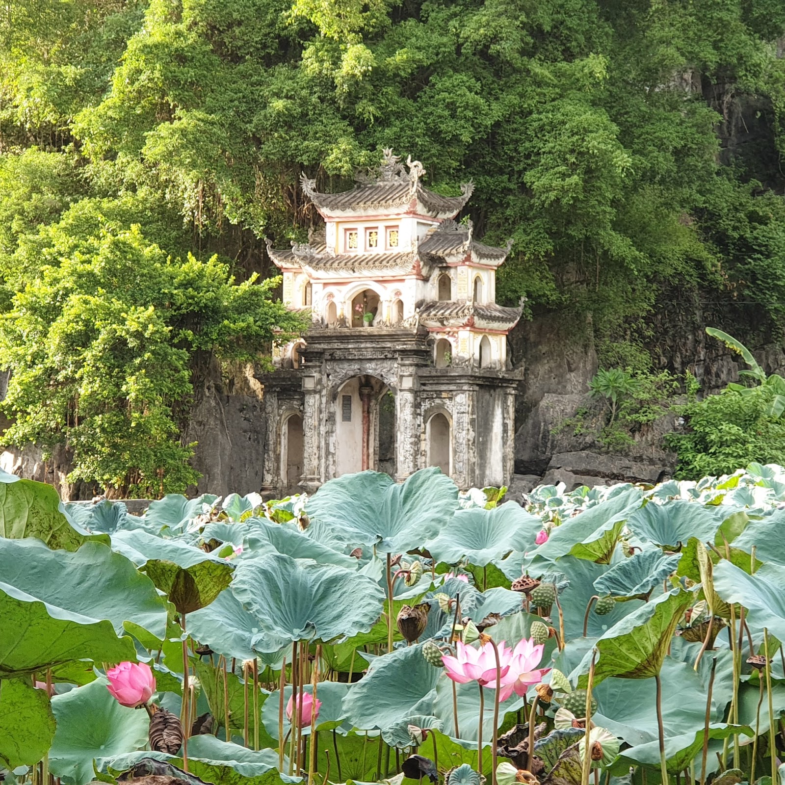 Bich Dong Pagoda