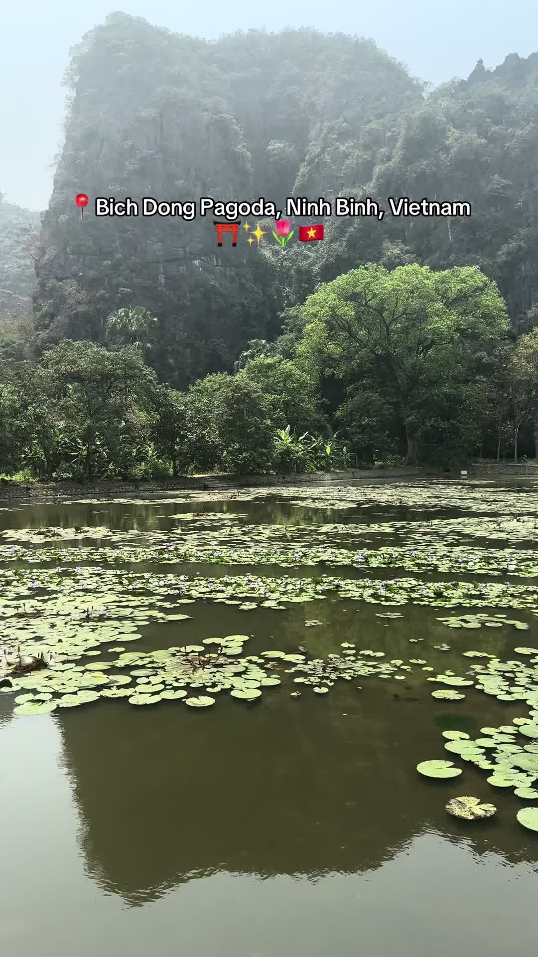 Bich Dong Pagoda