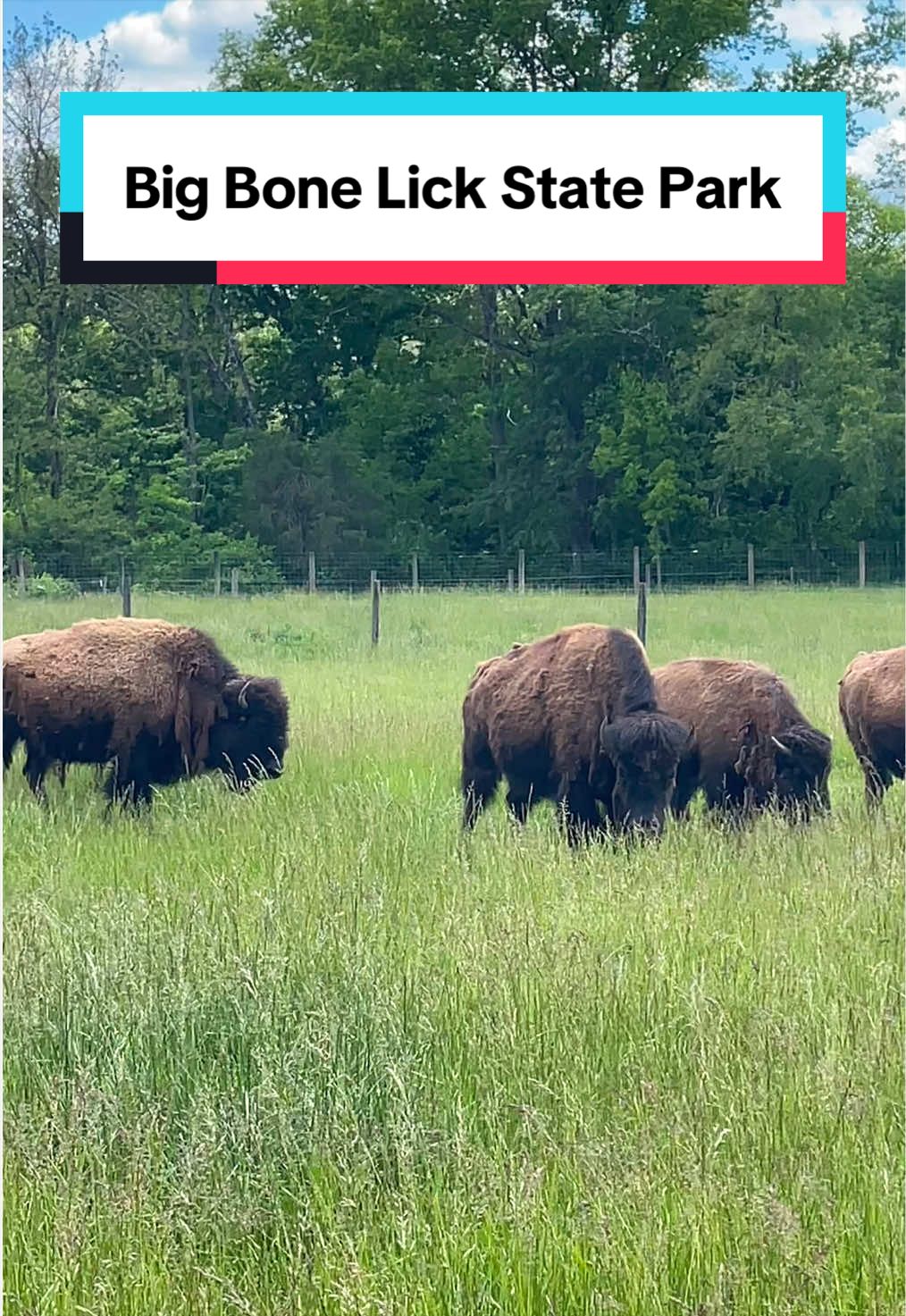 Big Bone Lick State Historic Site