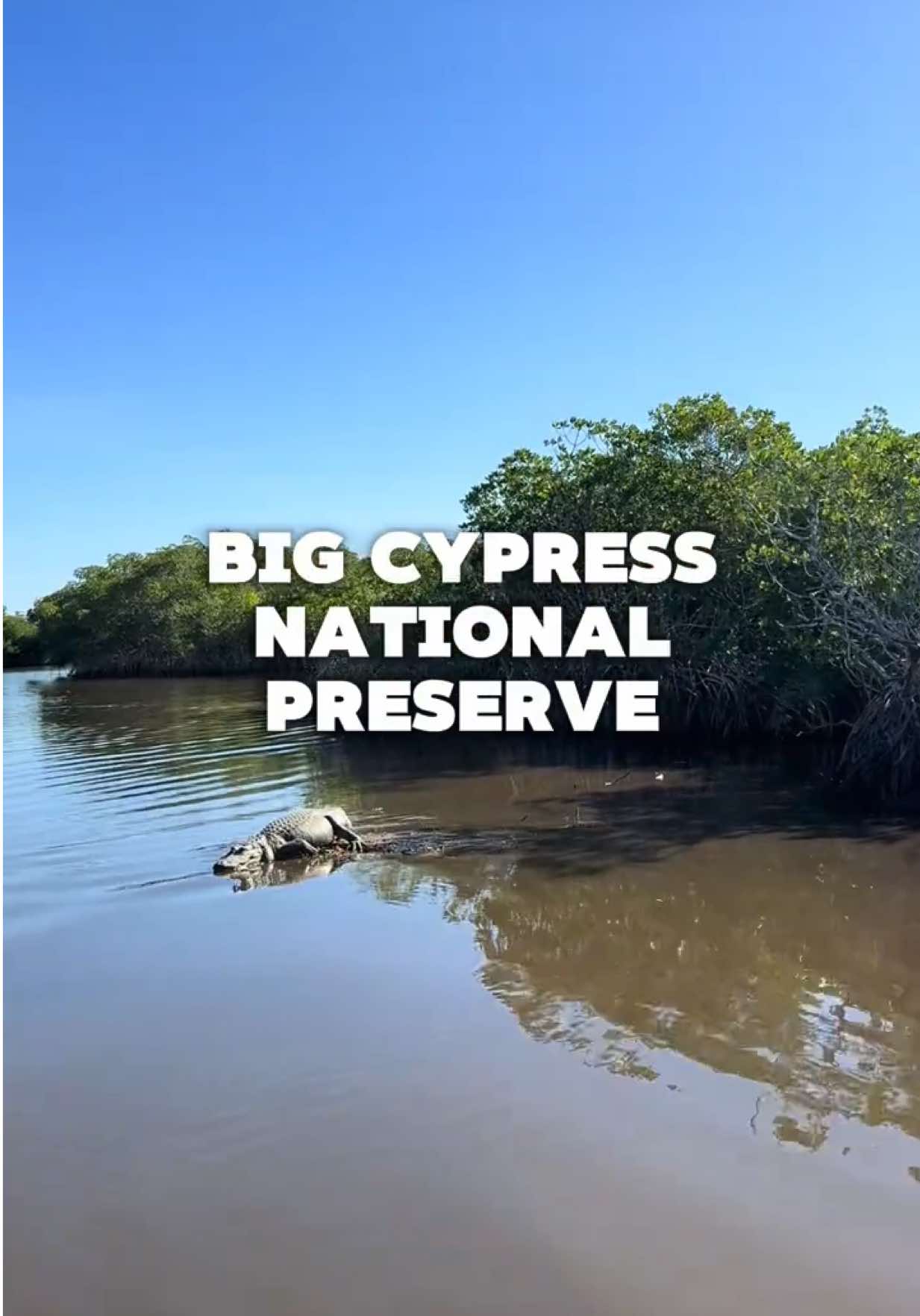 Big Cypress National Preserve