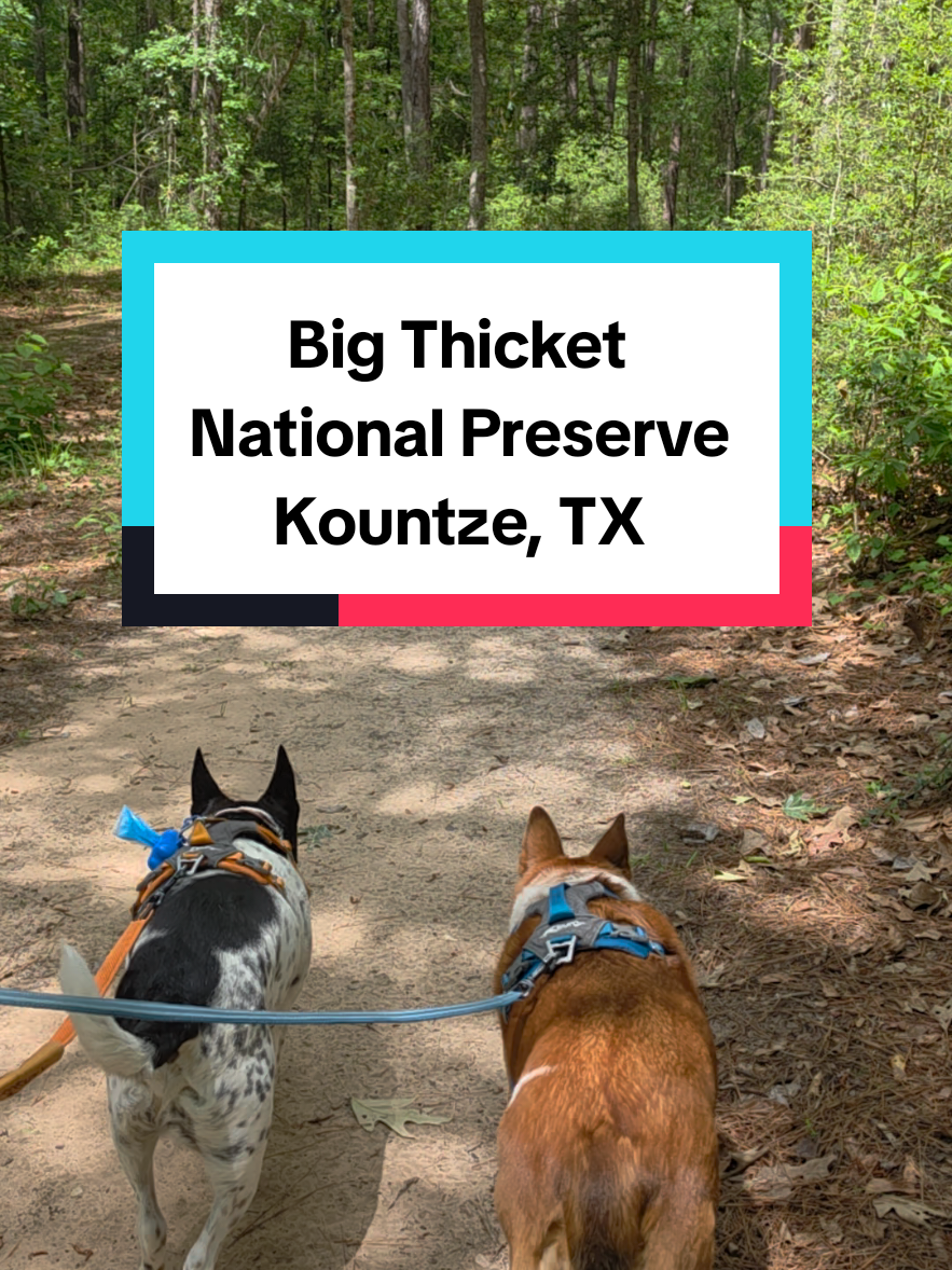Big Thicket National Preserve