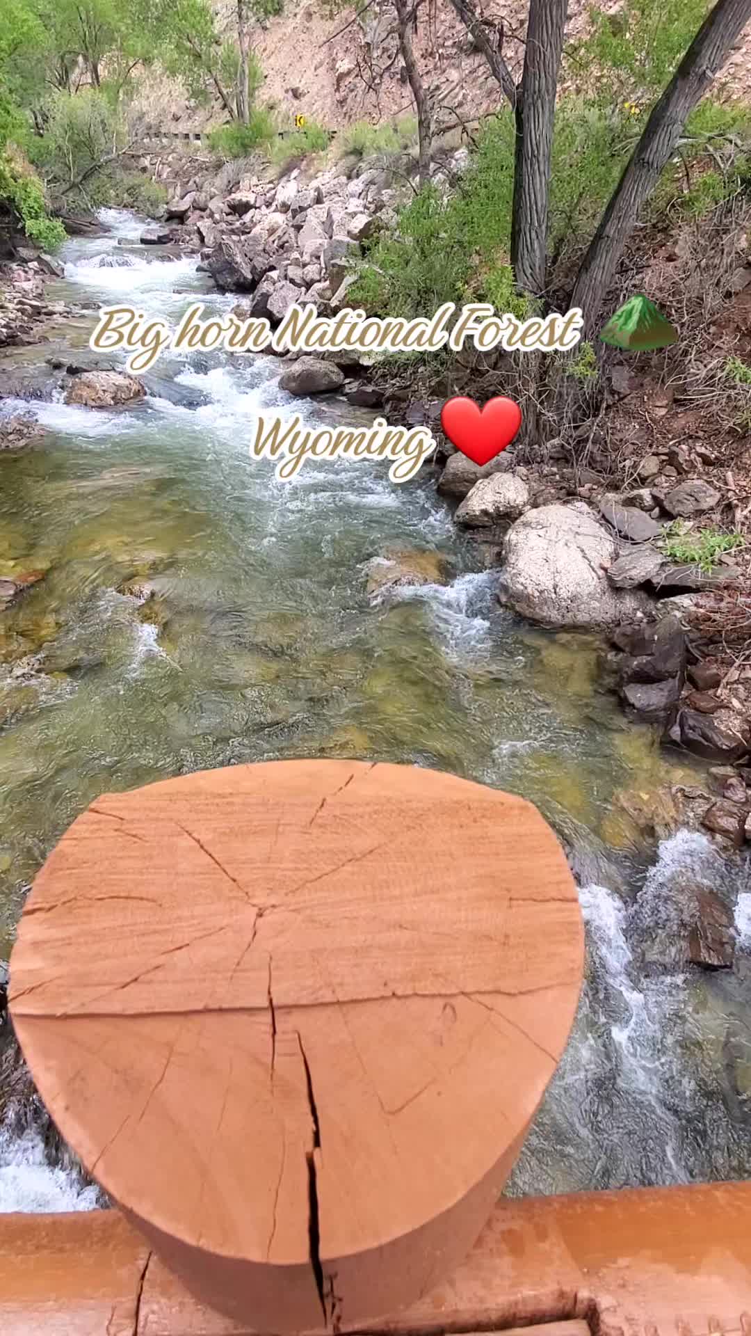 Bighorn National Forest