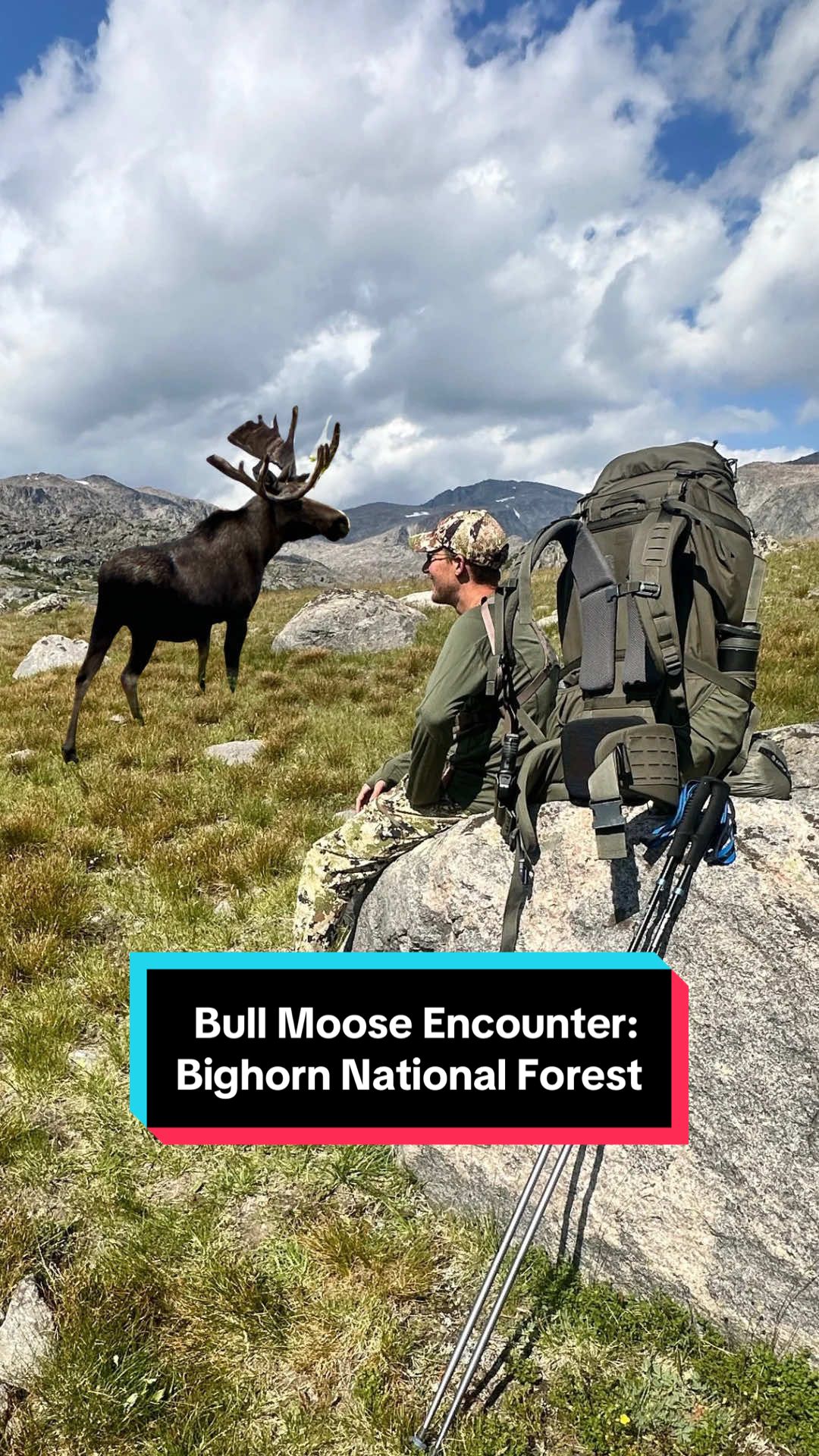 Bighorn National Forest