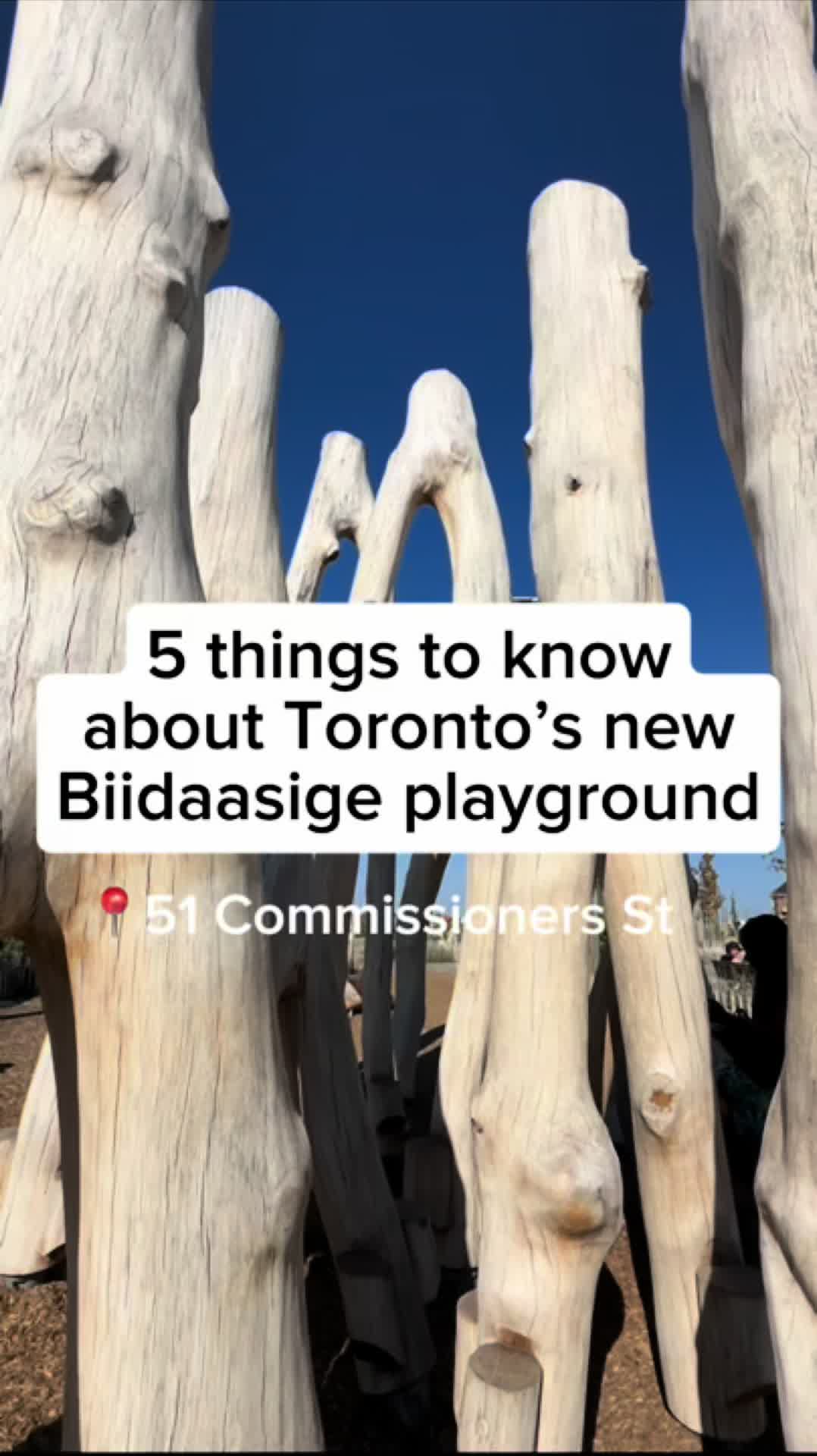 Biidaasige Park