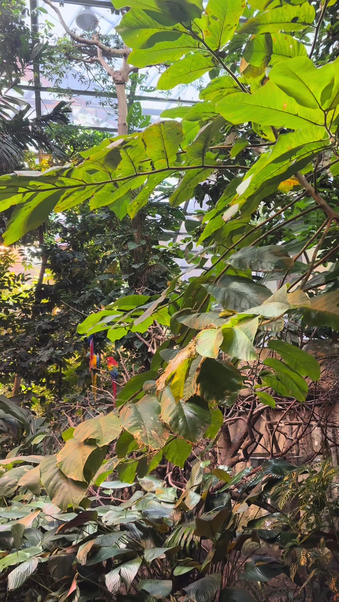 Biodome de Montreal