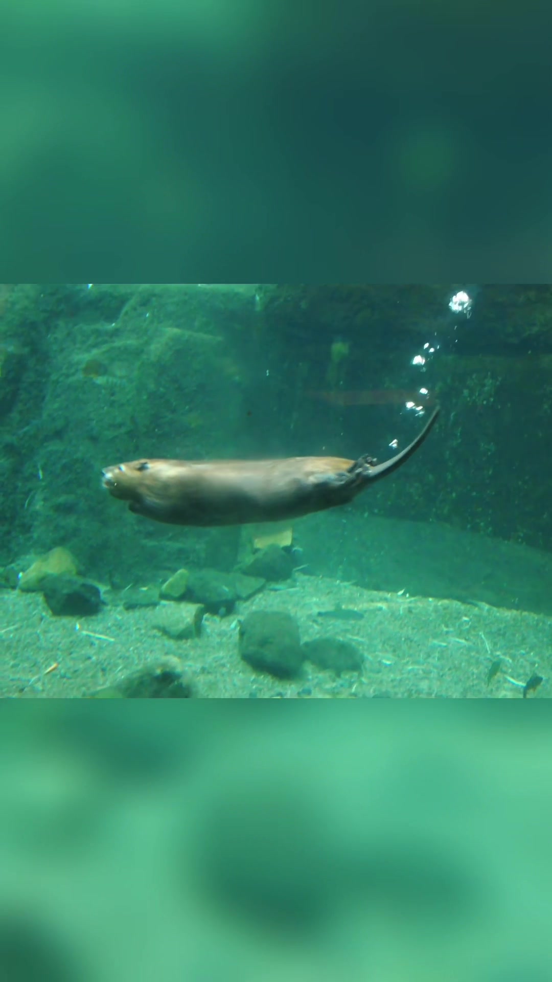 Biodôme de Montréal