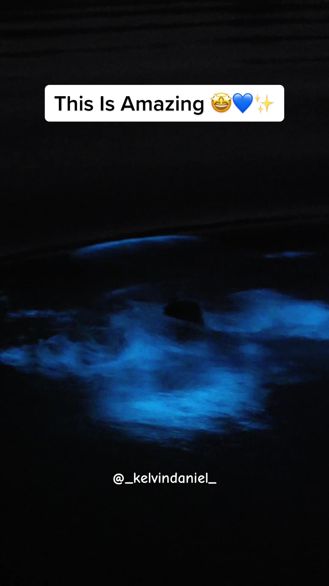 Bioluminescent Bay, Fajardo