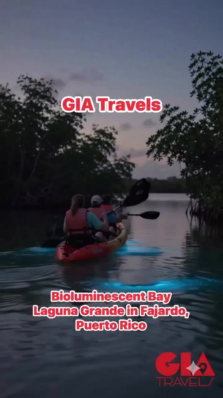 Bioluminescent Bay, Fajardo