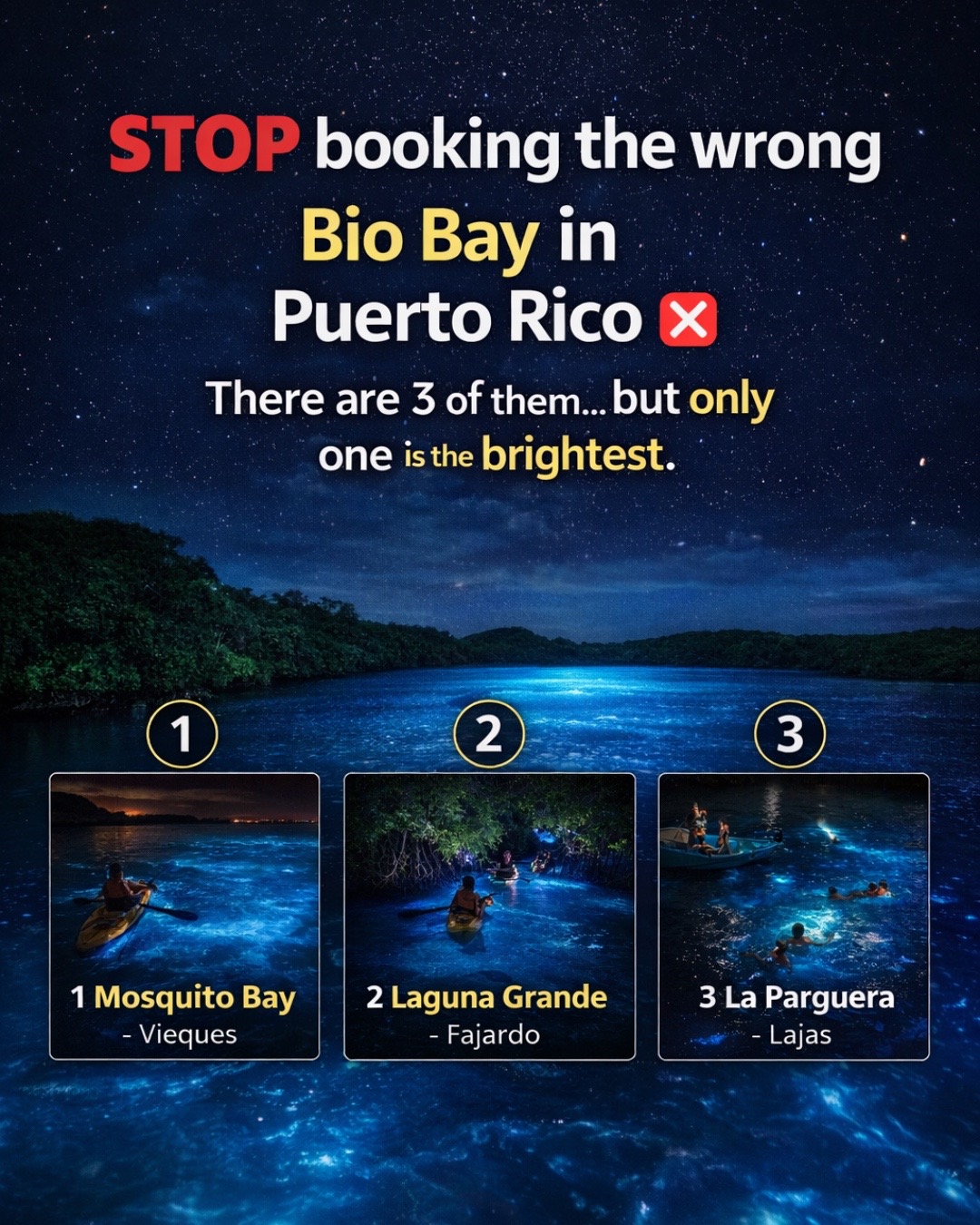 Bioluminescent Bay, Fajardo