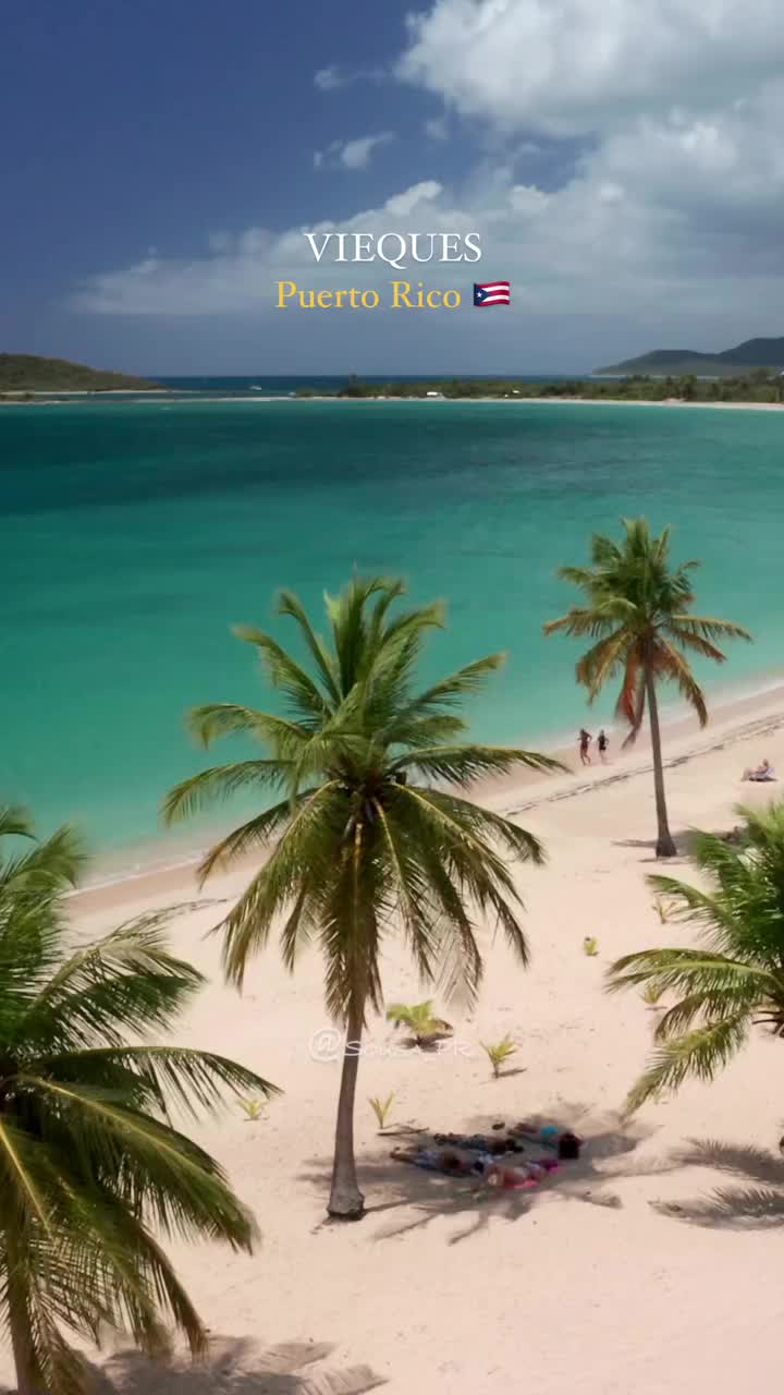 Bioluminescent Bay, Vieques