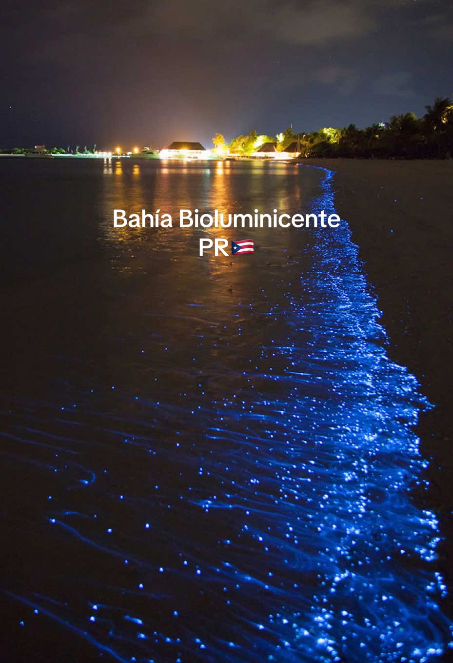 Bioluminescent Bay, Vieques