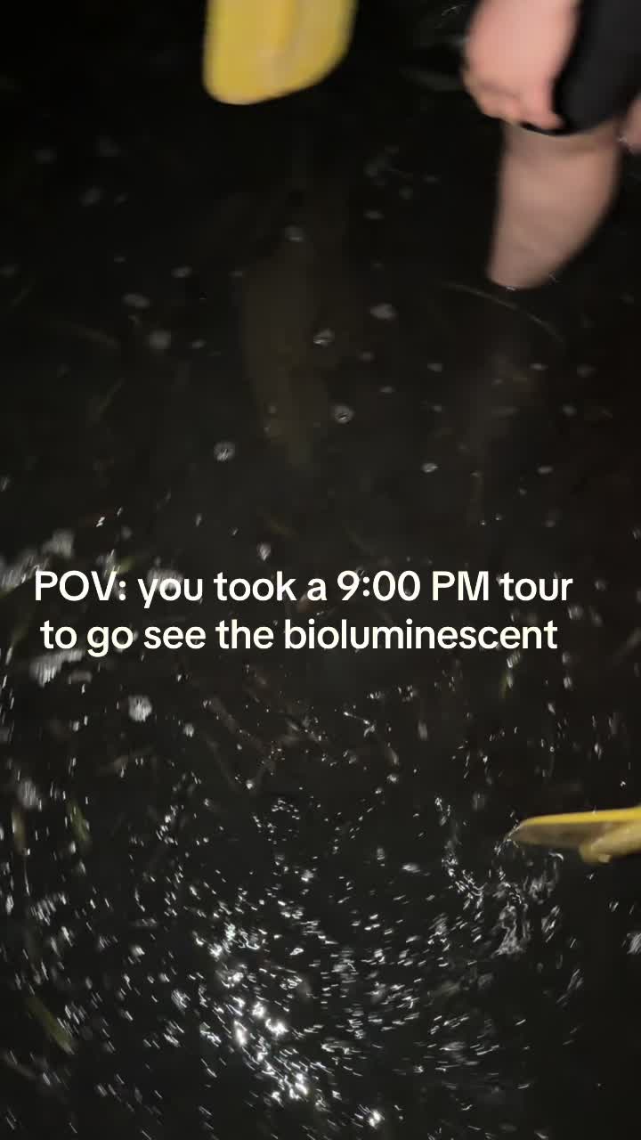 Bioluminescent Bay, Vieques