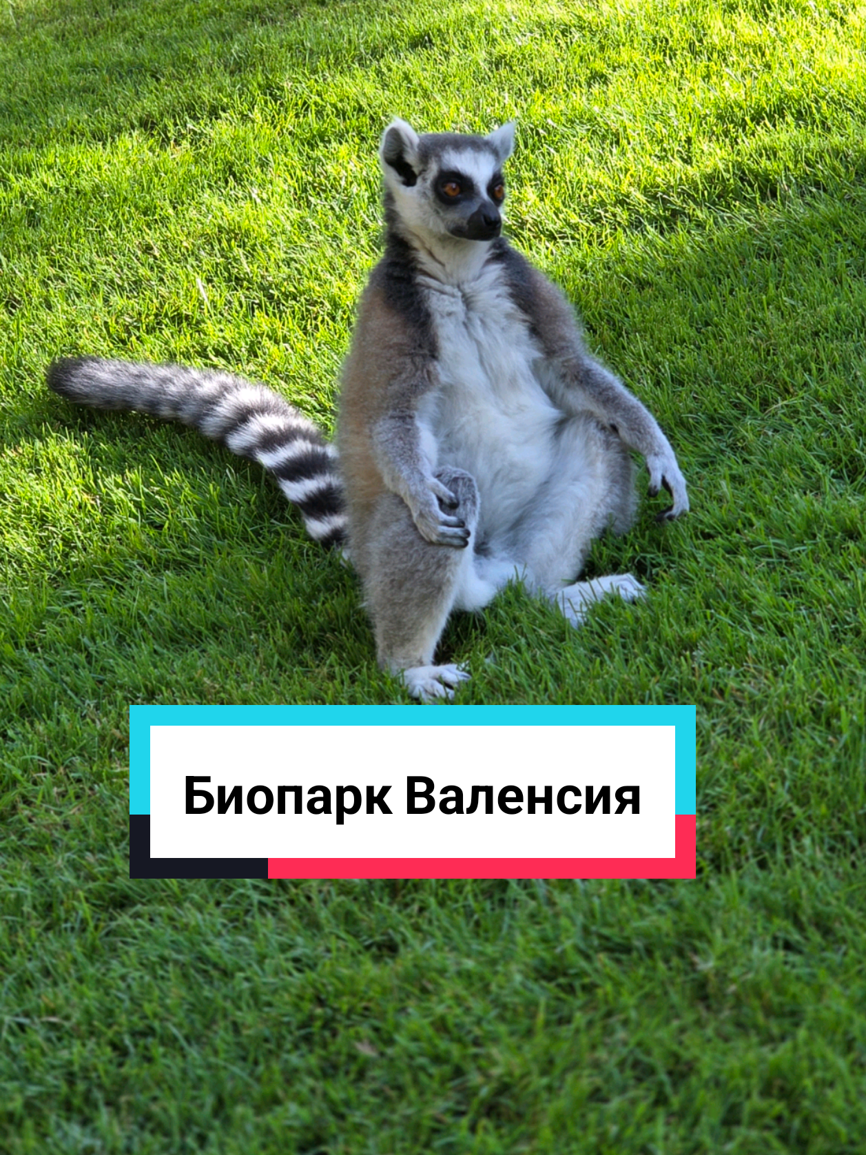 Биопарк Валенсии