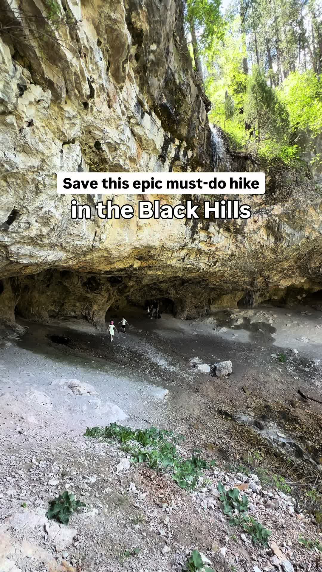Black Hills National Forest