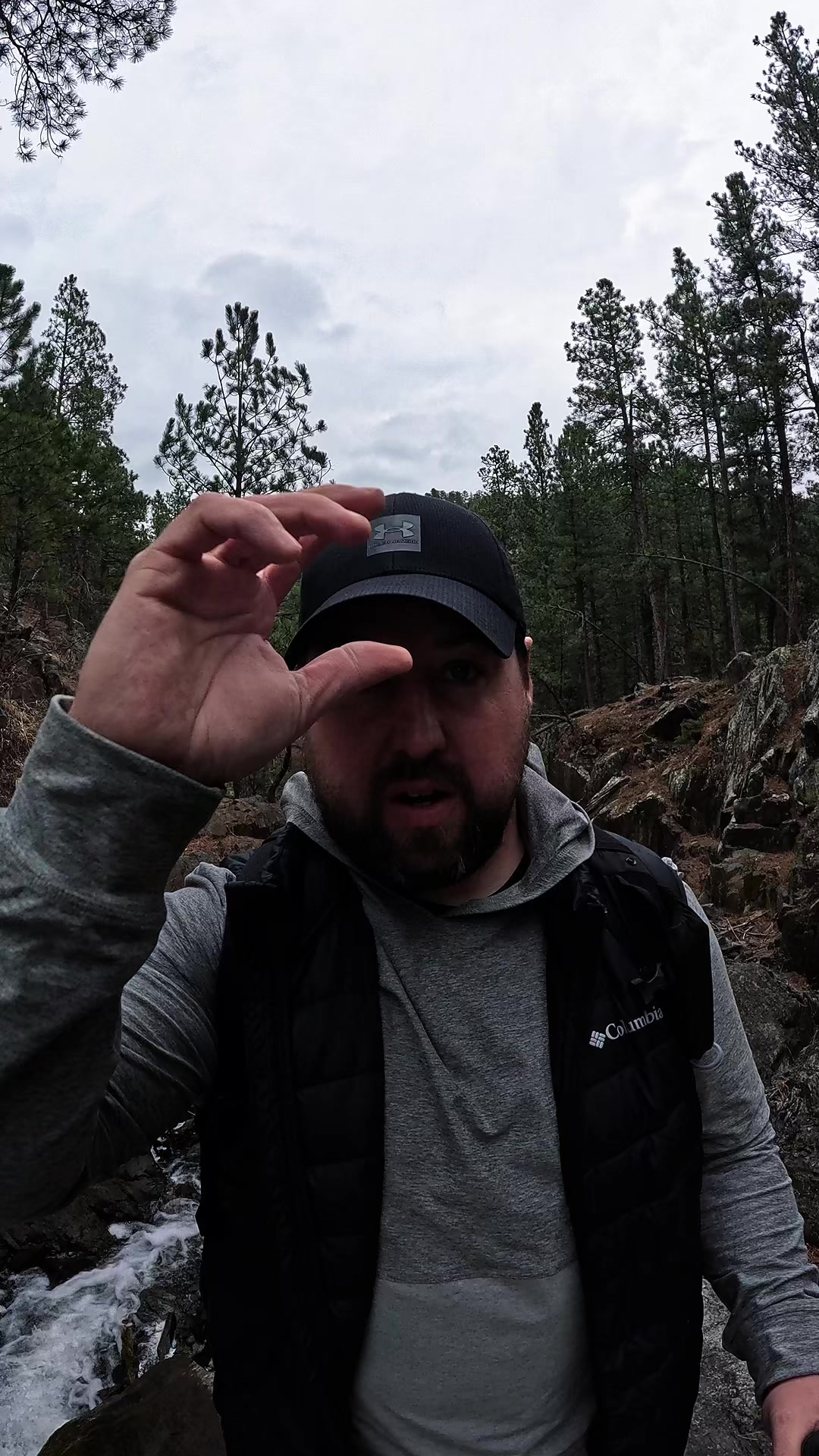 Black Hills National Forest