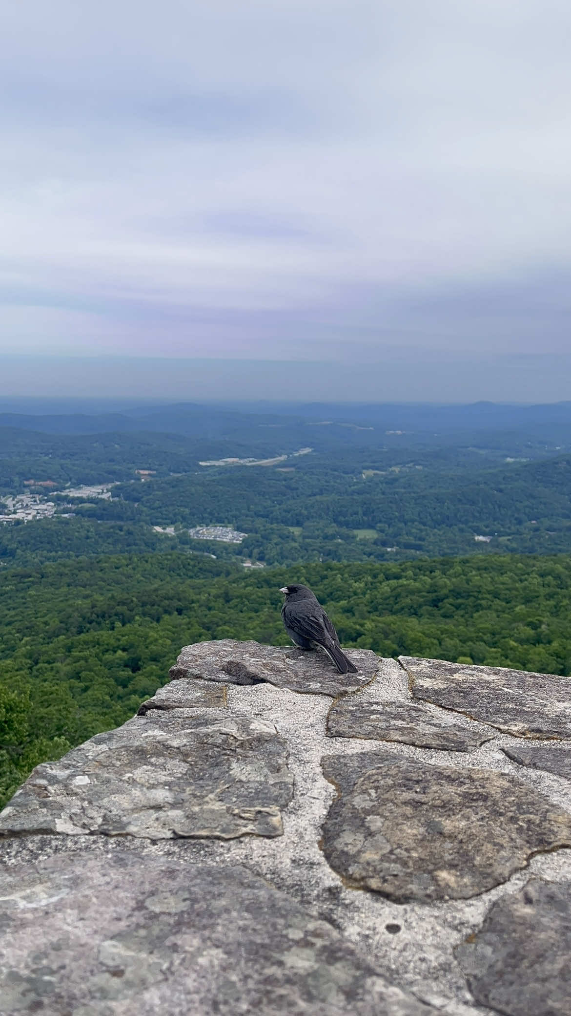 Black Rock Mountain State Park