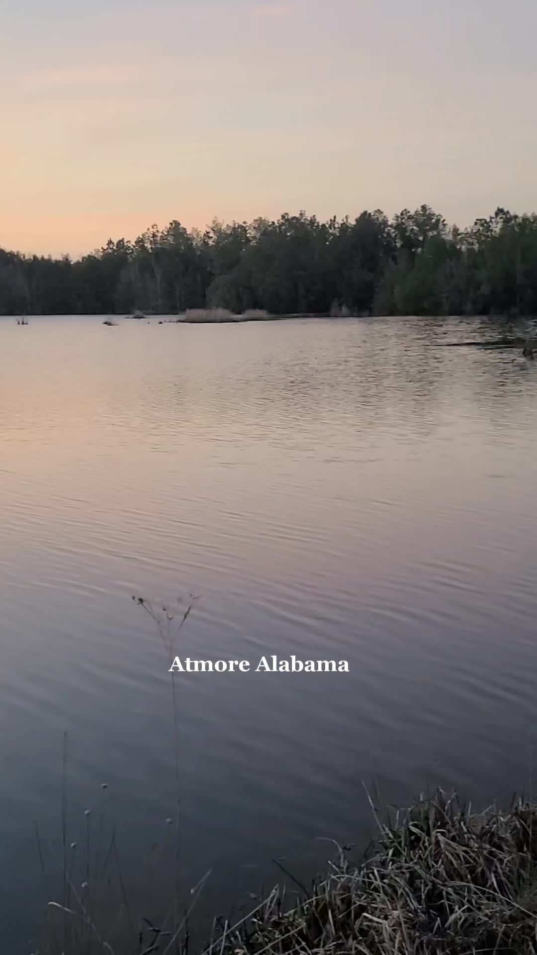 Black Warrior Wildlife Management Area