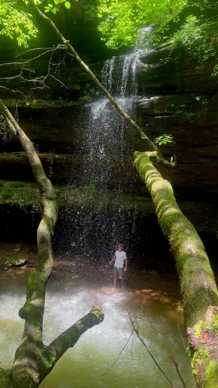 Black Warrior Wildlife Management Area