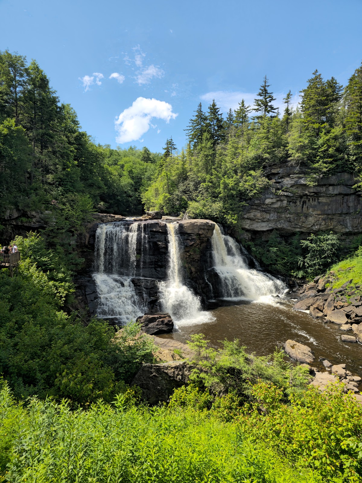 Blackwater Falls State Park