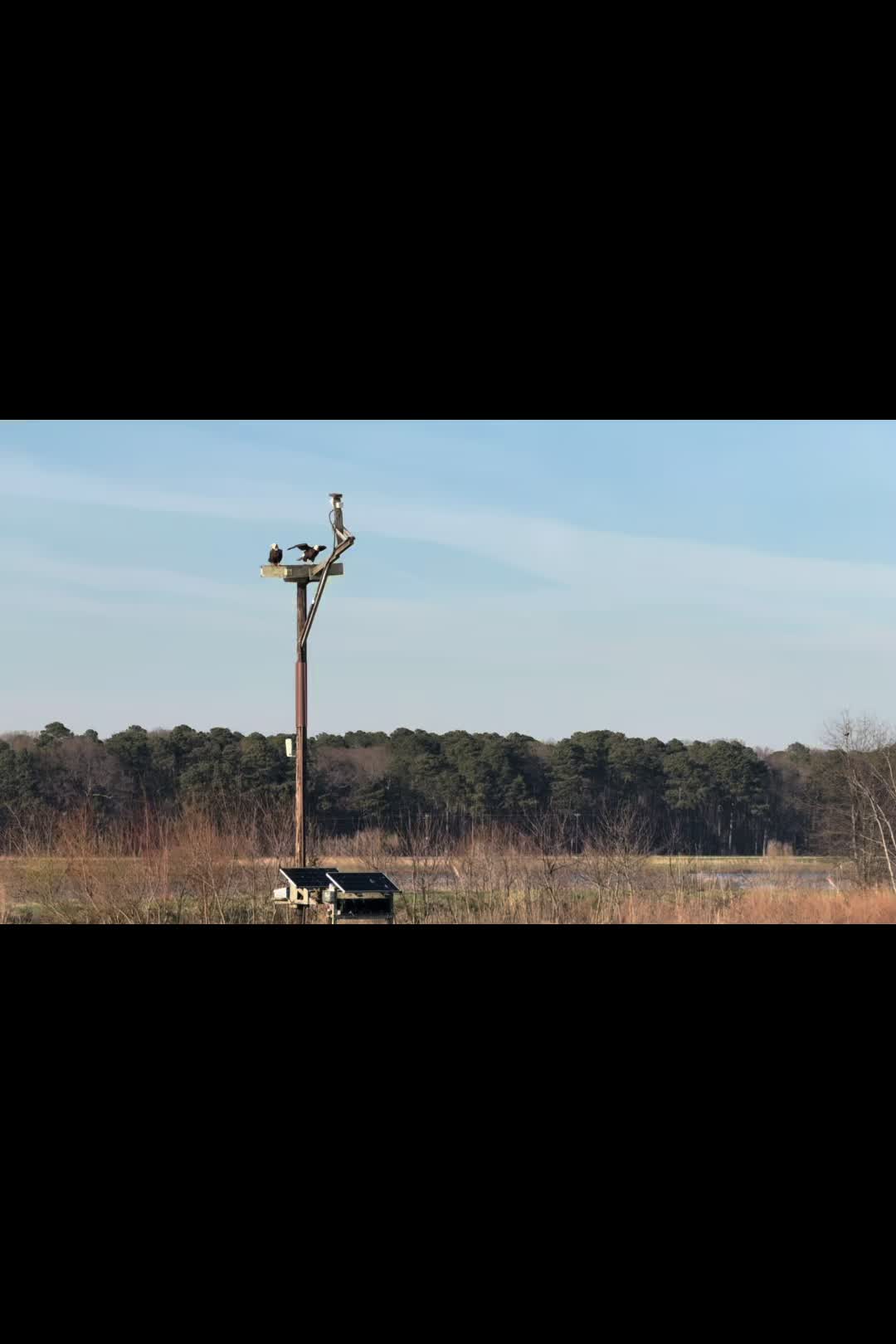 Blackwater National Wildlife Refuge