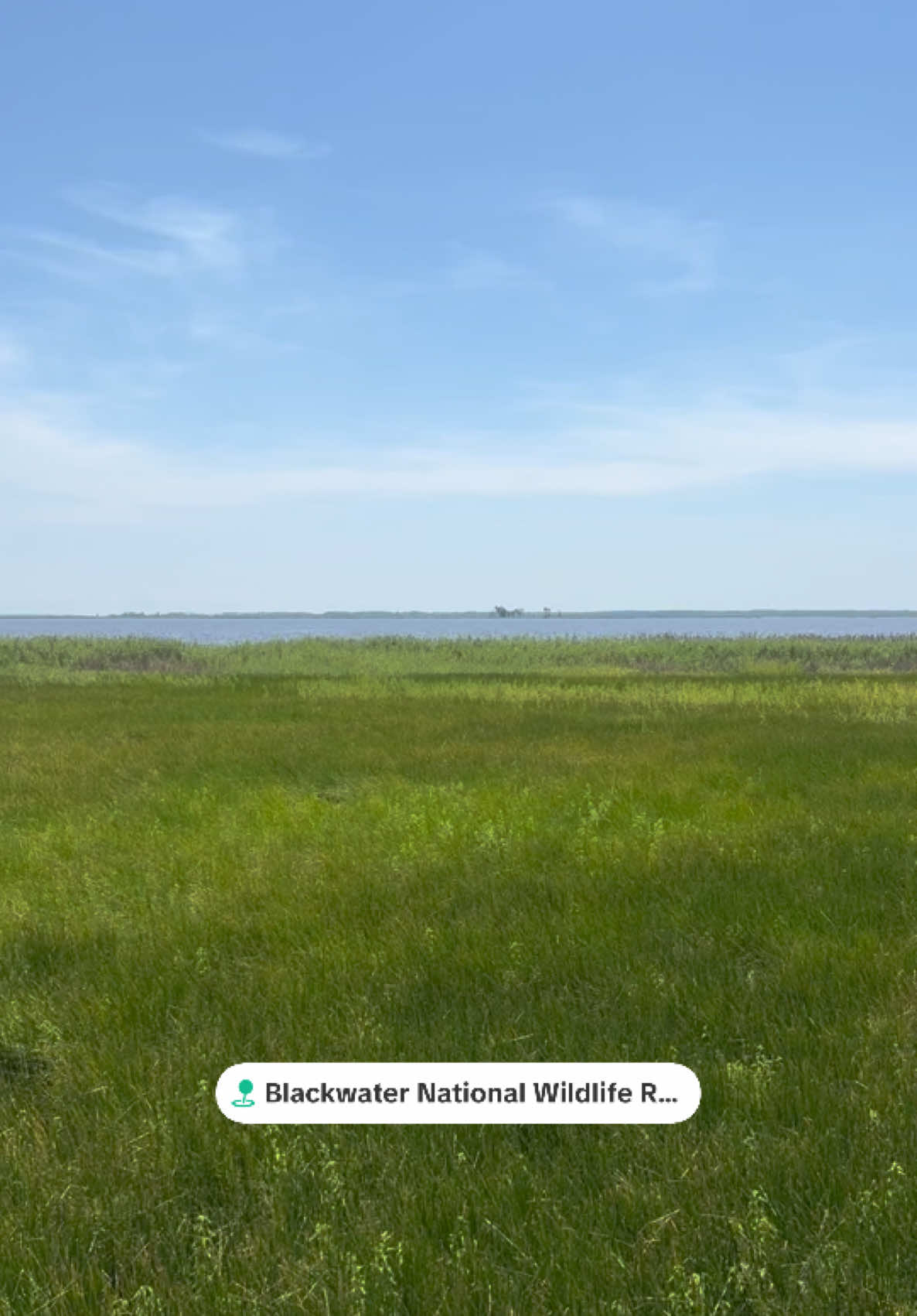 Blackwater National Wildlife Refuge