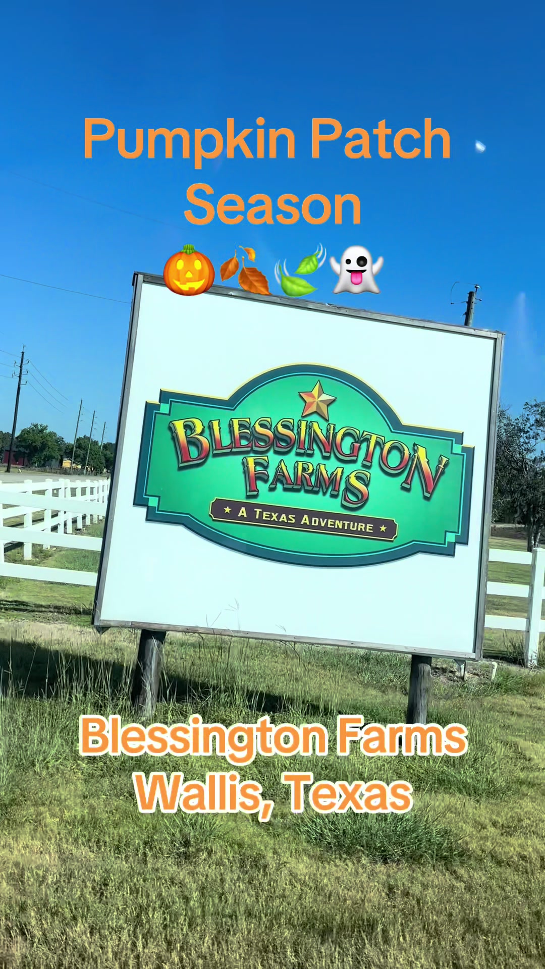 Blessington Farms