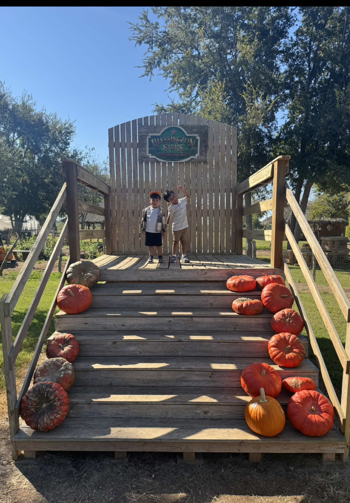Blessington Farms