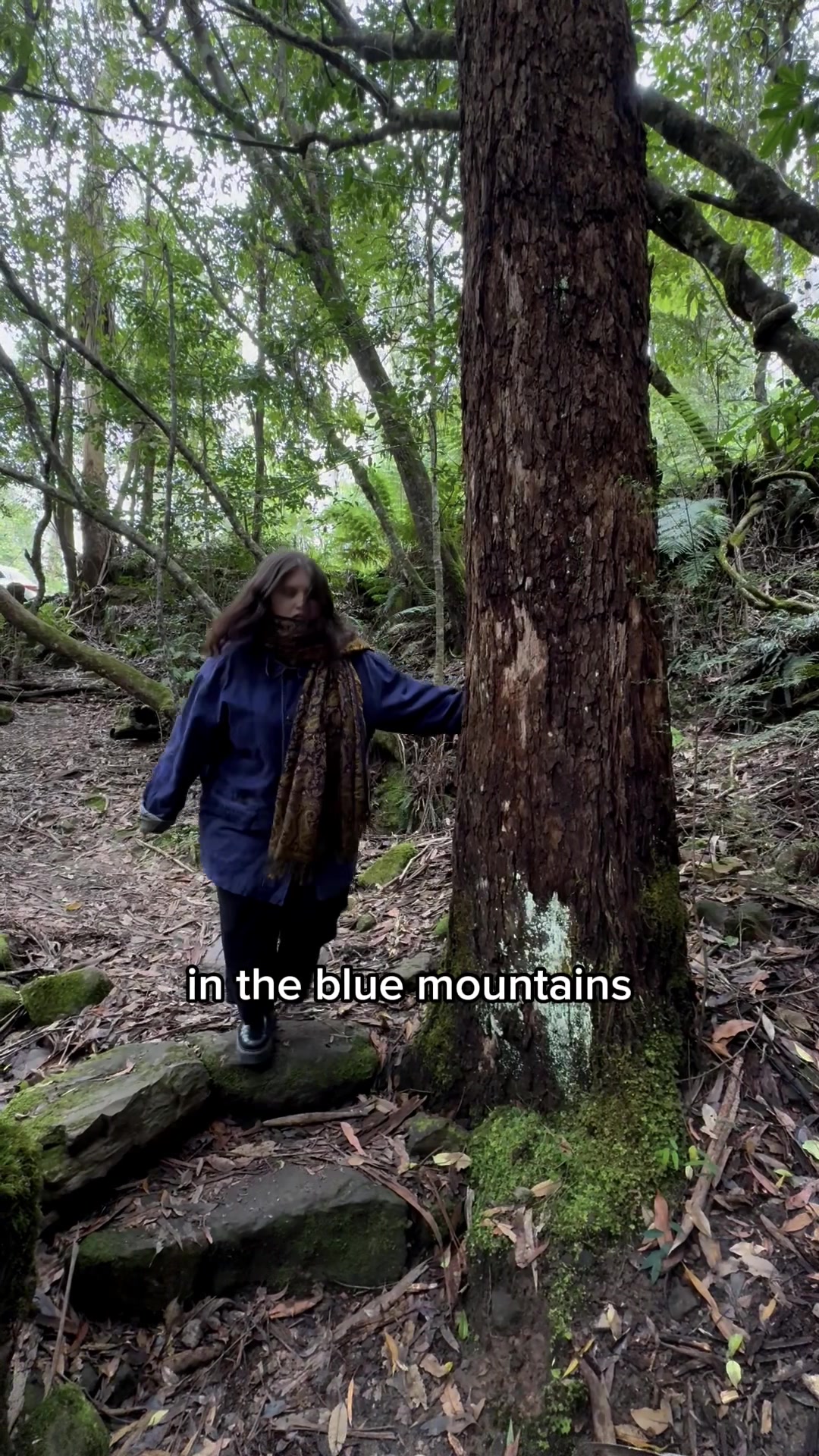Blue Mountains National Park
