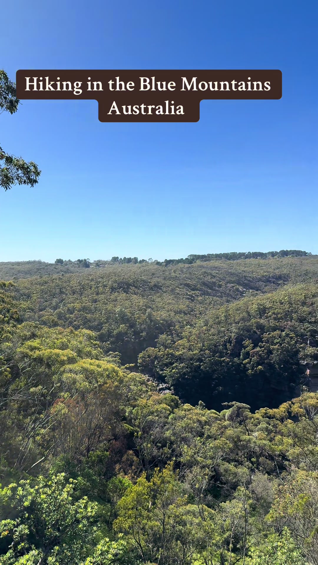 Blue Mountains National Park