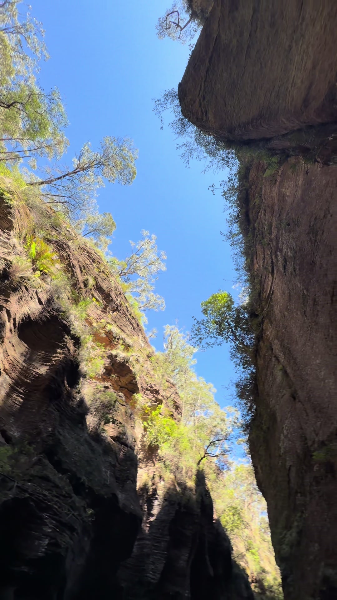 Blue Mountains