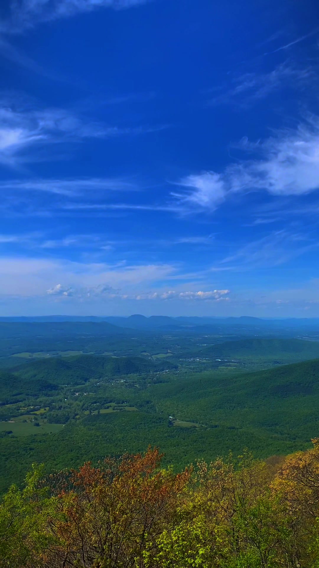 Blue Ridge Parkway