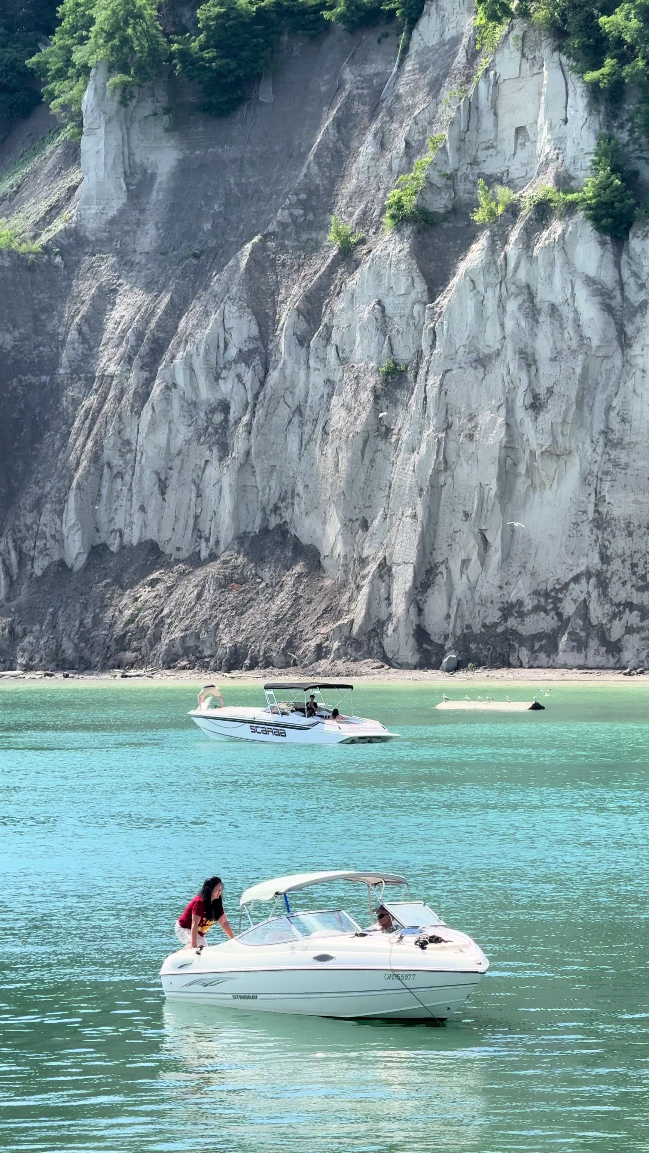 בלופס של סקארבורו (Scarborough Bluffs)