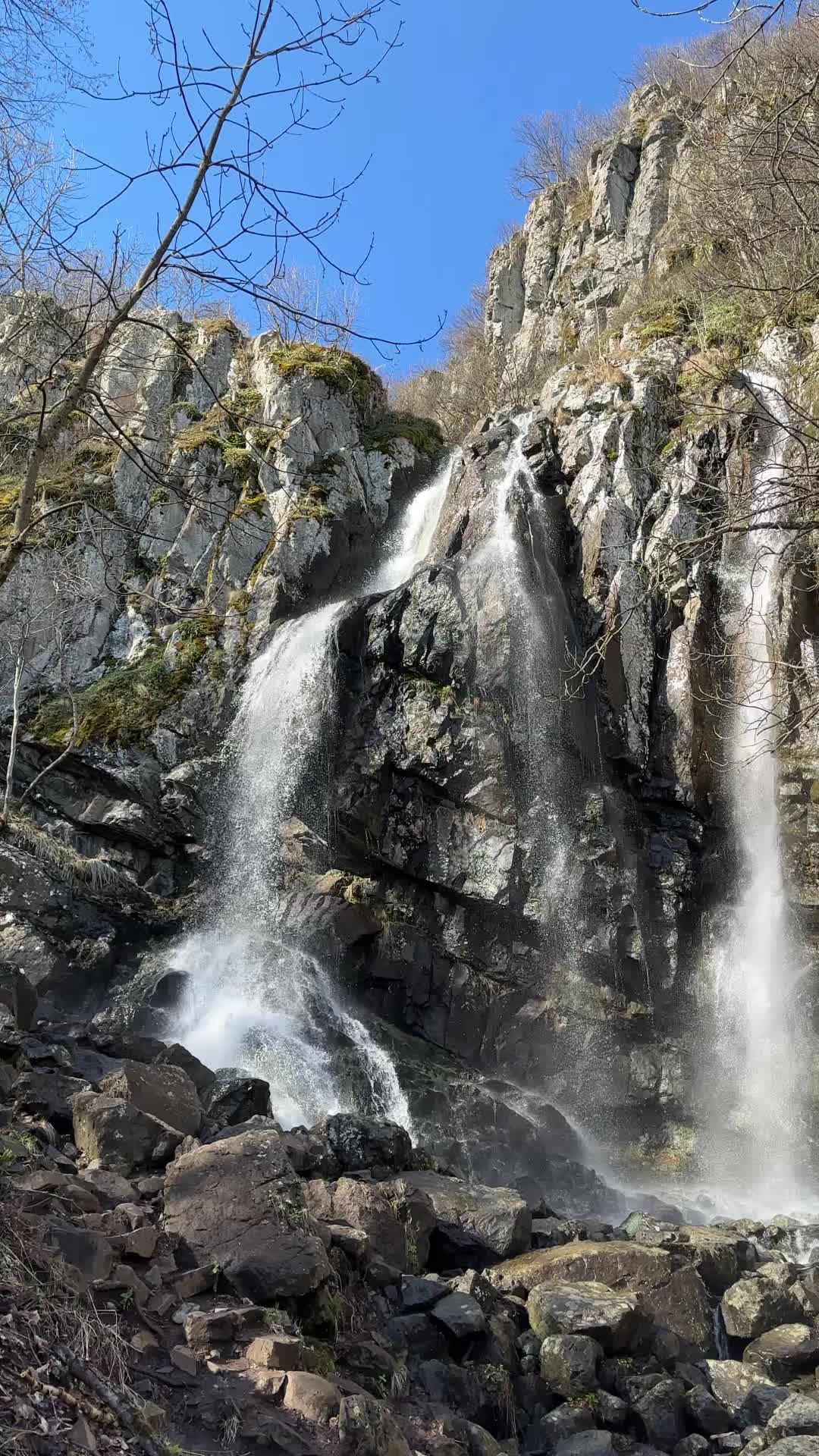 Бояна (Боянская церковь и водопад)