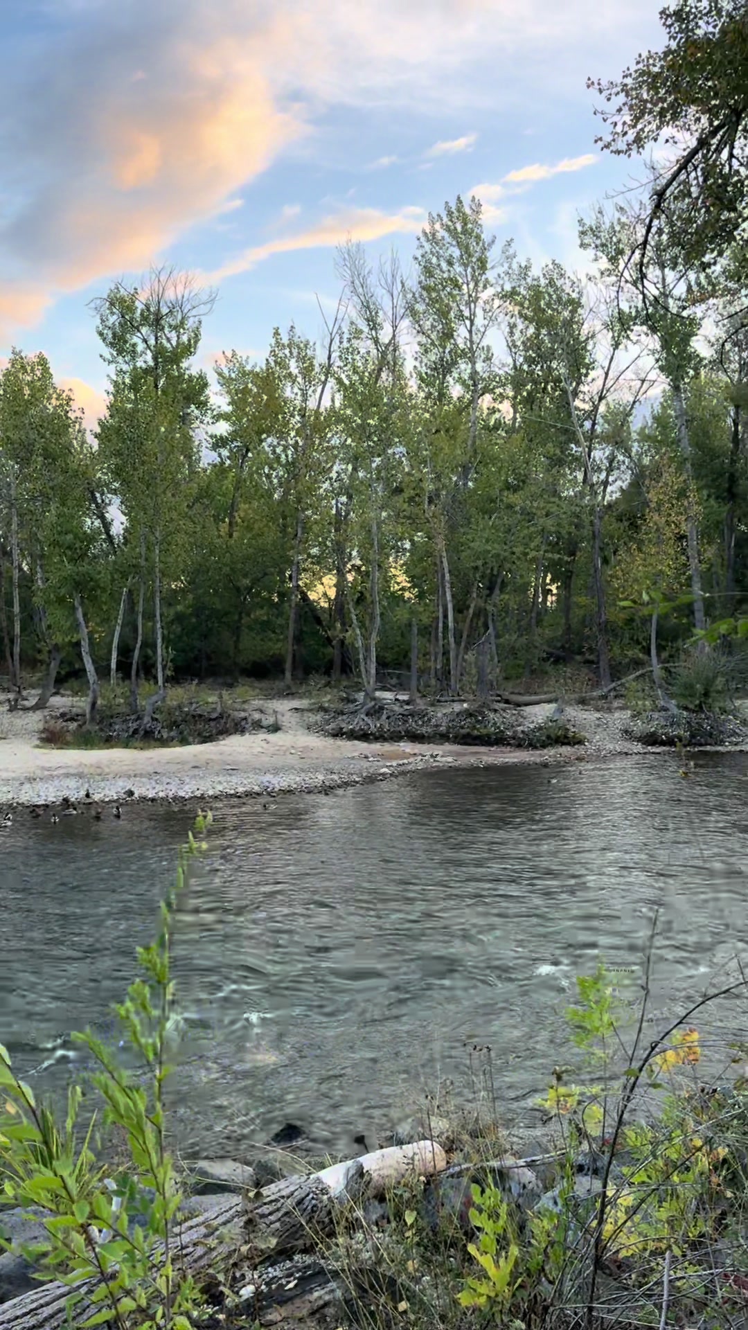 Boise River Greenbelt