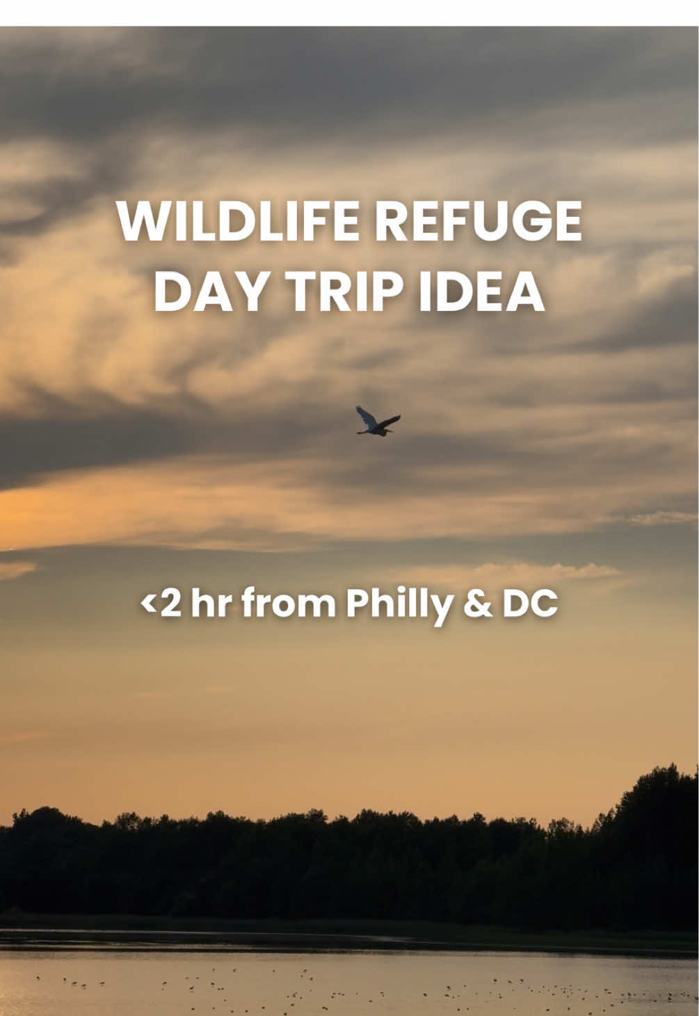 Bombay Hook National Wildlife Refuge