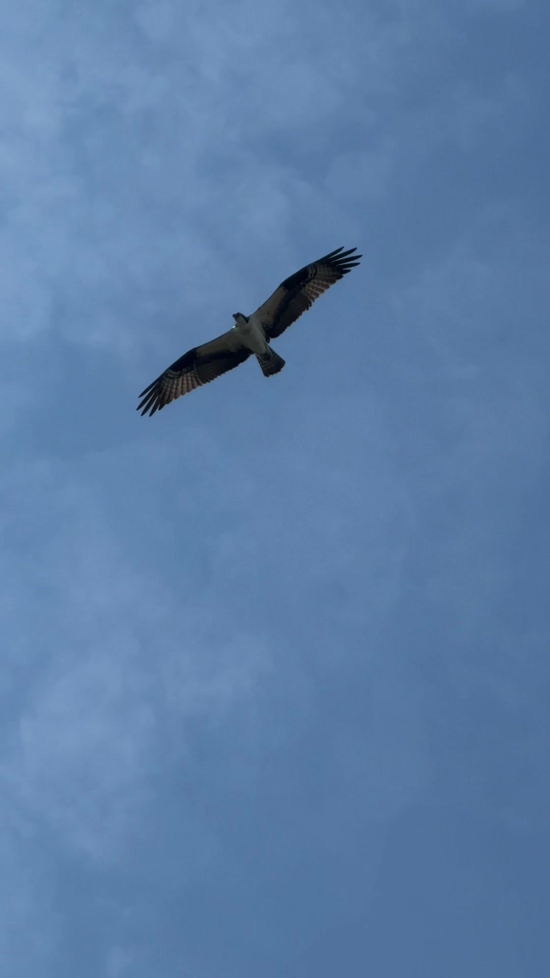Bombay Hook National Wildlife Refuge